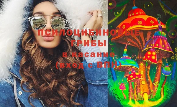 Альфа ПВП Гусь-Хрустальный